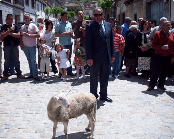 Procesión con animal ofrecido a San Antonio