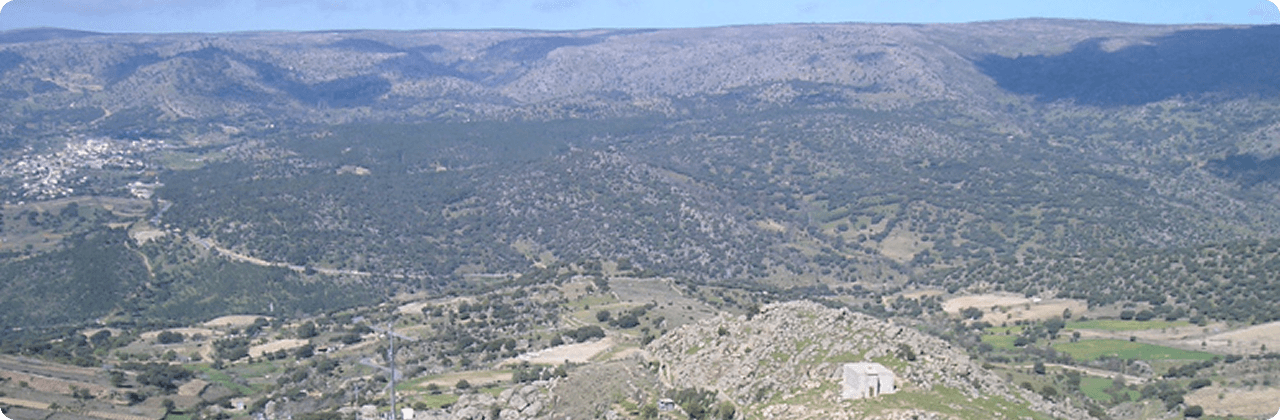 Paisaje del Valle del Alberche y Tierra de Pinares