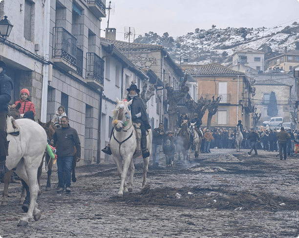 Caballos adornados el Día de San Antón